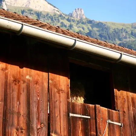 Charming Retreat For Nature Lovers Near Saxerluecke Appartement Sennwald