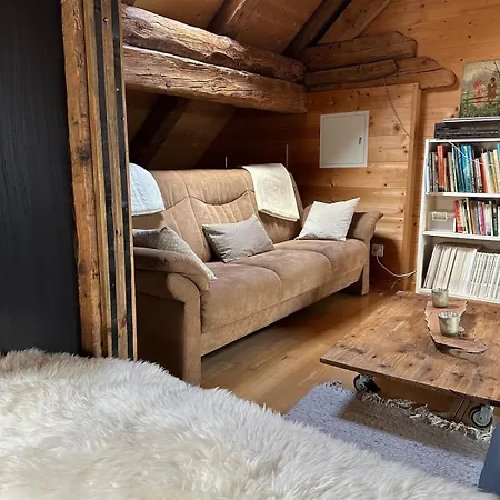 Charming Retreat For Nature Lovers Near Saxerluecke Appartement Sennwald