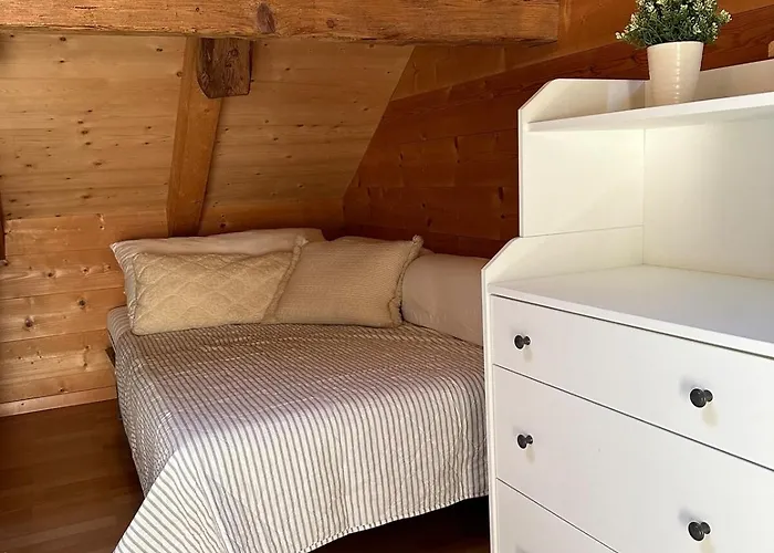 Apartment Charming Retreat For Nature Lovers Near Saxerlücke Sennwald