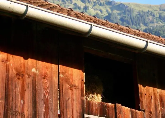 Charming Retreat For Nature Lovers Near Saxerluecke Appartement Sennwald