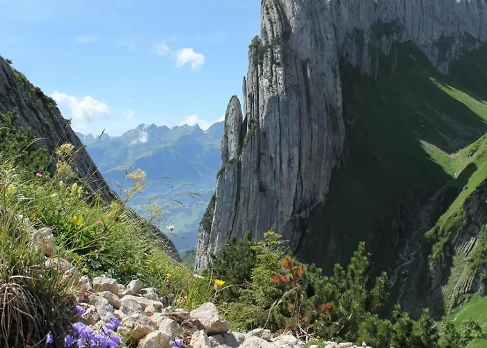 Appartement Charming Retreat For Nature Lovers Near Saxerluecke *